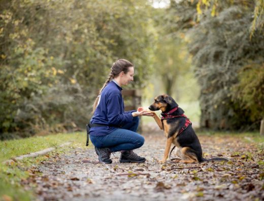 Morgane Fresneau, éducatrice comportementaliste, avec un chien