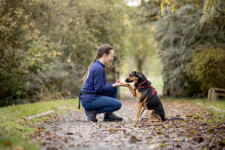 Morgane Fresneau, éducatrice comportementaliste, avec un chien